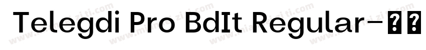  Telegdi Pro BdIt Regular字体转换